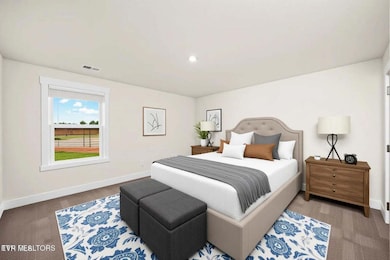 339 Cookie Loop, Johnson City, TN 37615 - photo 6