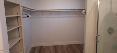 Master Walk In Closet