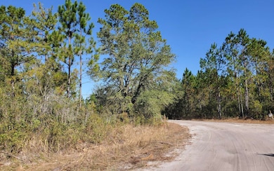 0 County Line & Prine unit 123987, Lee, FL 32059 - photo 3