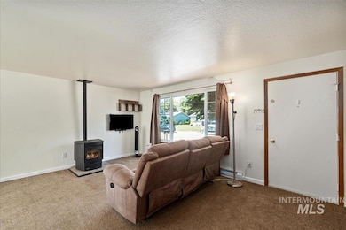 Carpeted living room featuring a pellet stove