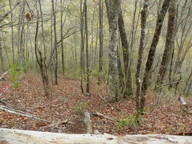 0 Hummingbird Hill Rd unit 26008252, Cowee, NC 28734 - photo 3