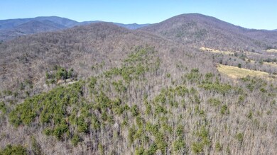 0 Lexington Turnpike unit 330760, Oronoco, VA 24521 - photo 3