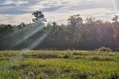 00 Winchester Rd unit M:16 B:C022, Chesterfield, NH 03443 - photo 4