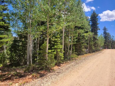 Lot & Subdivision Road