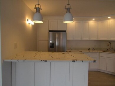 Charles River Towers unit 527, Watertown, MA 02472 - photo 7