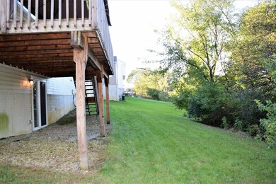 backyard2