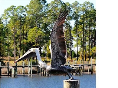 504 River Rd, Carrabelle, FL 32322 - photo 6