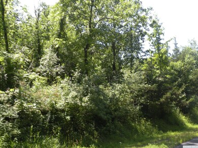 0 Adams Rd unit 144252, Coxsackie, NY 12051 - photo 4