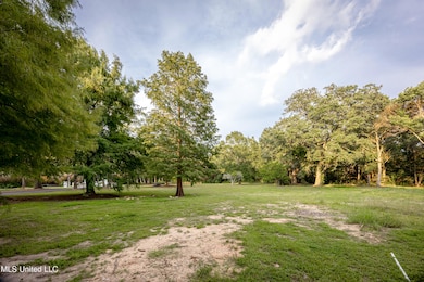 Lot 4 Pointe Aux Chenes Rd, Ocean Springs, MS 39564 - photo 3