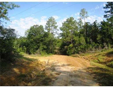 0 Barton Agricola Rd unit 3231818, Lucedale, MS 39452 - photo 5