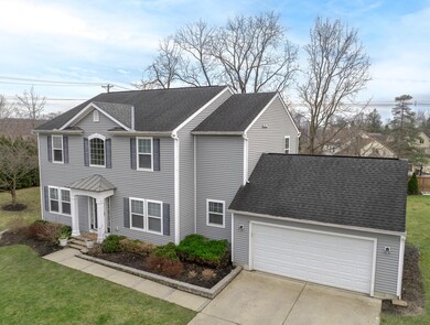 1269Cloverleaf-7