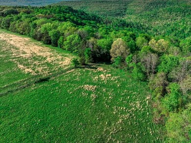 TBD Parcel#001-00664 Devils Den Rd, Winslow, AR 72959 - photo 7