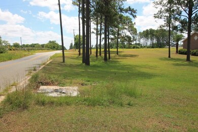000 Dr, Alma, GA 31510 - photo 3