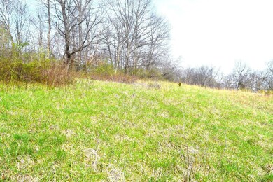 17078 Pine Hill Rd, Metamora, IN 47030 - photo 7