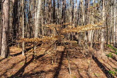 0 Tapp Rd unit 2507886, Cedar Grove, NC 27541 - photo 5