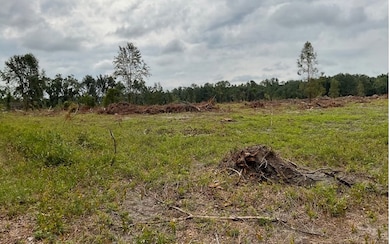 0 SW 79th Dr unit 118331, Jasper, FL 32052 - photo 2