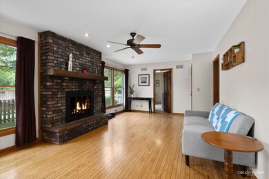 421 Meadowrue Ln, Batavia, IL 60510 - photo 5