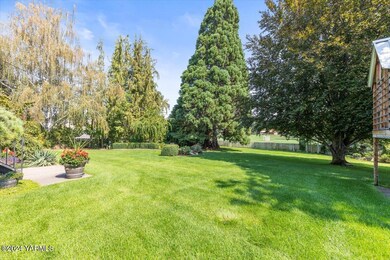 5- Backyard