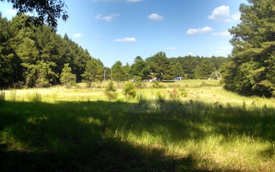 1183 SE October Rd, Lake City, FL 32025 - photo 4