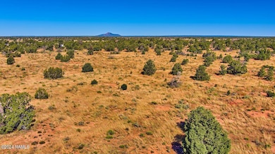 566 N Kaibab Rd Photo 5