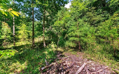 Additional View