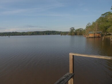 32307 Fisherman Rd, Dozier, AL 36028 - photo 4