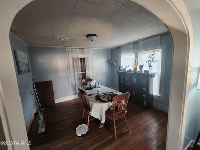 230 Druilhet St, Jeanerette, LA 70544 - photo 6