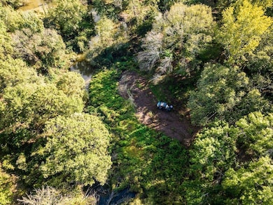 12245 County Rd 3514, Brownsboro, TX 75756 - photo 5