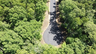 DJI_0702