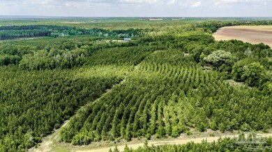 48 Watson Rd, Jay, FL 32565 - photo 5