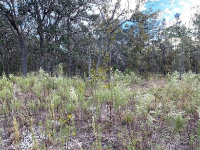 000 SW Admiral Landing Dr, Dunnellon, FL 34431 - photo 4