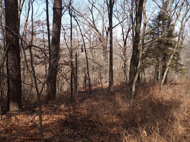 7509 Little St, Seligman, MO 65745 - photo 6