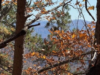 0 John Call Rd unit 7683545, Talking Rock, GA 30175 - photo 6