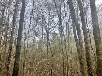 000 Old Hwy 24, McComb, MS 39648 - photo 4