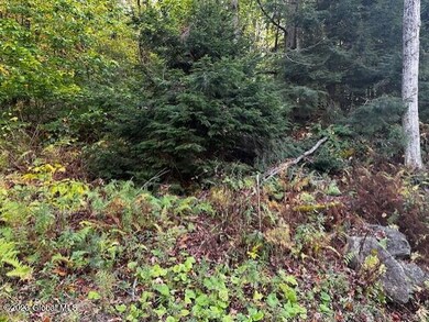 L15 S Shore Rd, Hadley, NY 12835 - photo 3