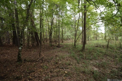 211 Fred Rogers Rd, Montgomery, LA 71454 - photo 4