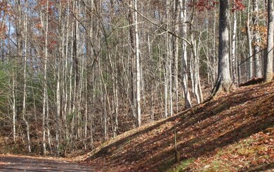 Additional View