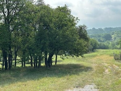 241 Saddle Ridge Ct, Springtown, TX 76082 - photo 4