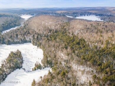 8-00LakeDesolationRd_08