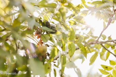 2778 Big Creek Dr SW, Bogue Chitto, MS 39629 - photo 7