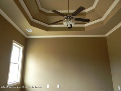 master vaulted ceiling