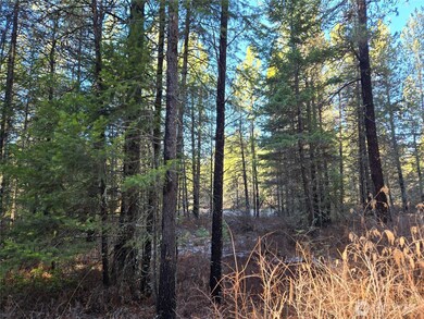 0 W Jump Off Joe Rd unit NWM2463189, Valley, WA 99181 - photo 3