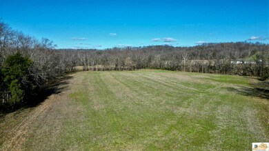 120 AC Milltown Rd, Fairplay, KY 42728 - photo 7