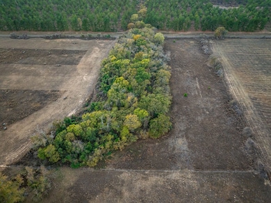 001 An County Road 117, Elkhart, TX 75839 - photo 4