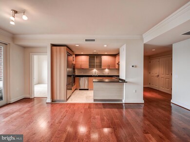 The Ritz-Carlton Residences unit 333, Baltimore, MD 21230 - photo 5