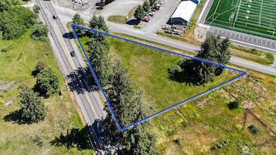 Talk with the City of Yelm about how you can build your investment portfolio by developing this bare land parcel. Blue boundary lines are approximate. Buyer to verify to their own satisfaction.