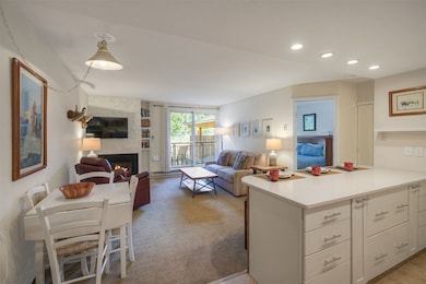 455 Village Rd unit 102, Breckenridge, CO 80424 - photo 7