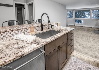 Pitkin-Crk-7N-MLS_06