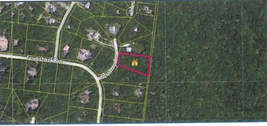 126 Quarry Ln, Blooming Grove Township, PA 18464 - photo 4