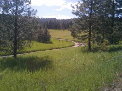 xx Dry Creek Rd, Chewelah, WA 99109 - photo 4